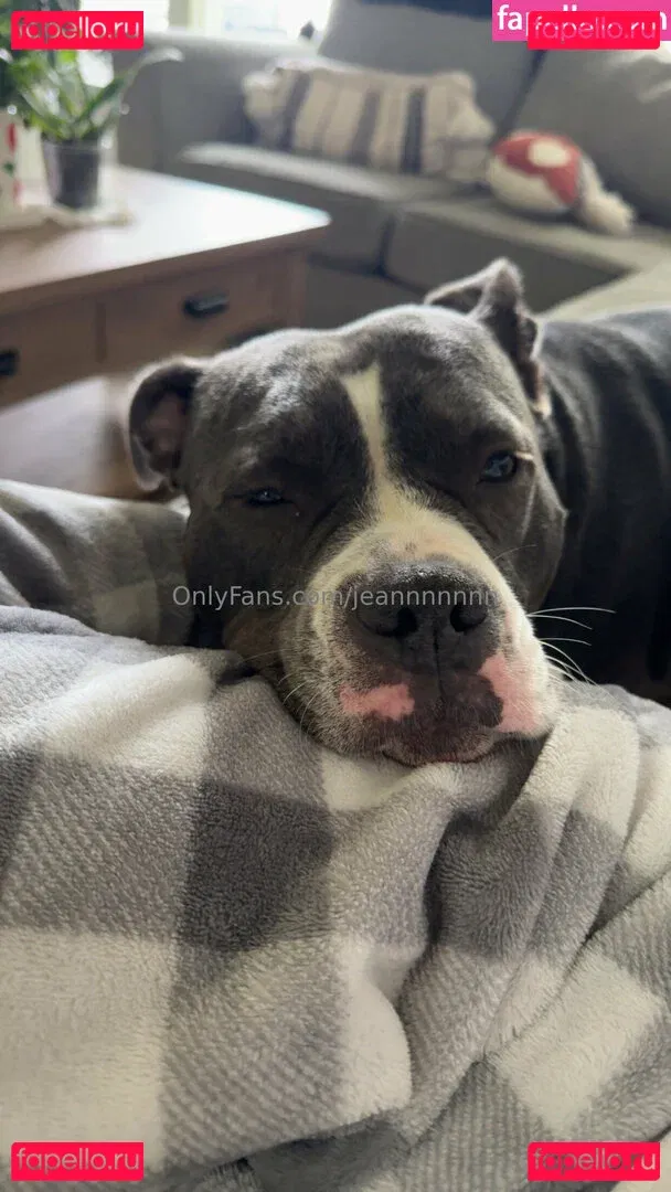 jeannnnnnn Onlyfans Photo Gallery 