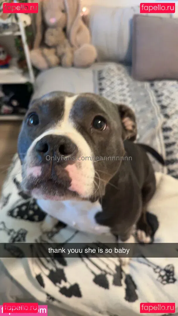 jeannnnnnn Onlyfans Photo Gallery 