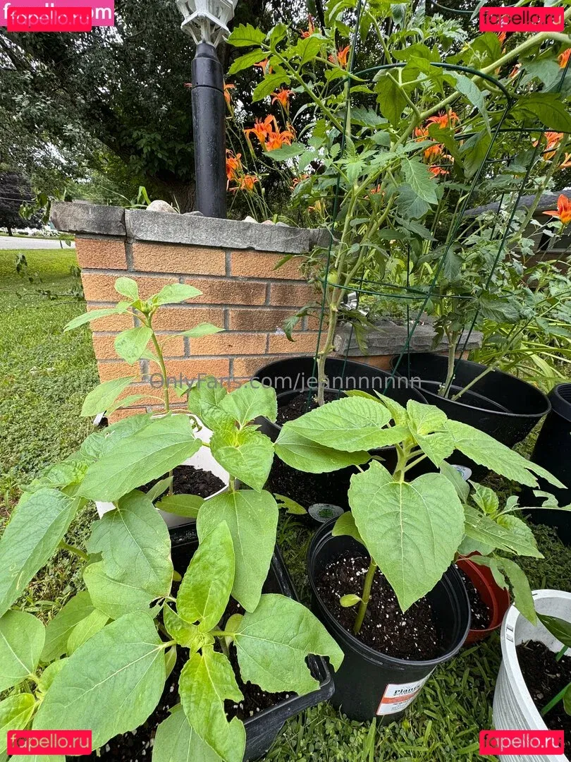 jeannnnnnn Onlyfans Photo Gallery 