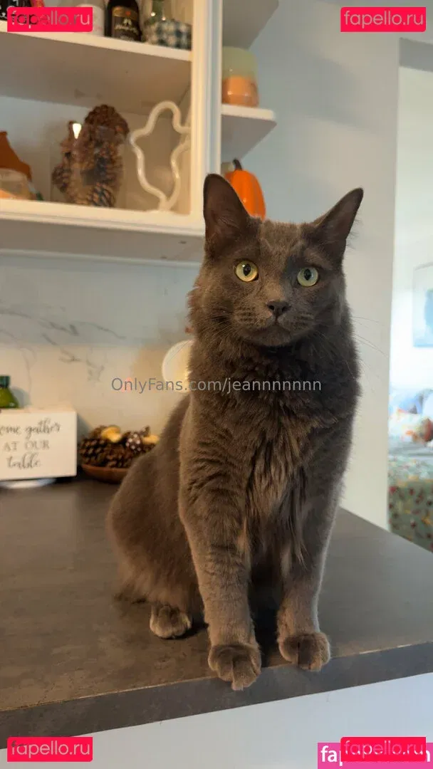 jeannnnnnn Onlyfans Photo Gallery 