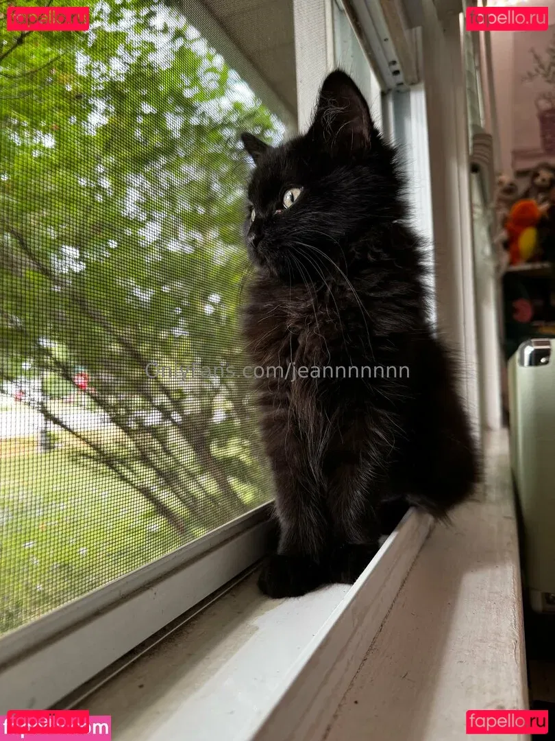 jeannnnnnn Onlyfans Photo Gallery 