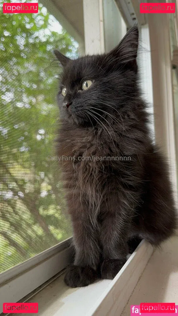 jeannnnnnn Onlyfans Photo Gallery 