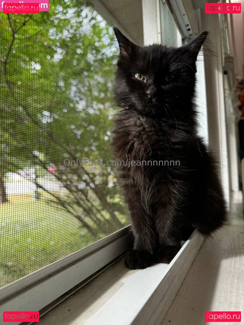 jeannnnnnn Onlyfans Photo Gallery 