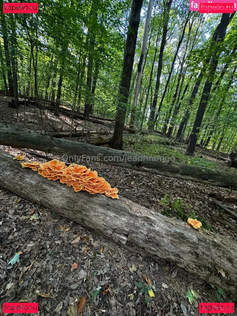 jeannnnnnn Onlyfans Photo Gallery 