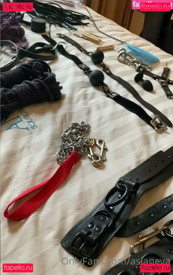 asianeva Onlyfans Photo Gallery 