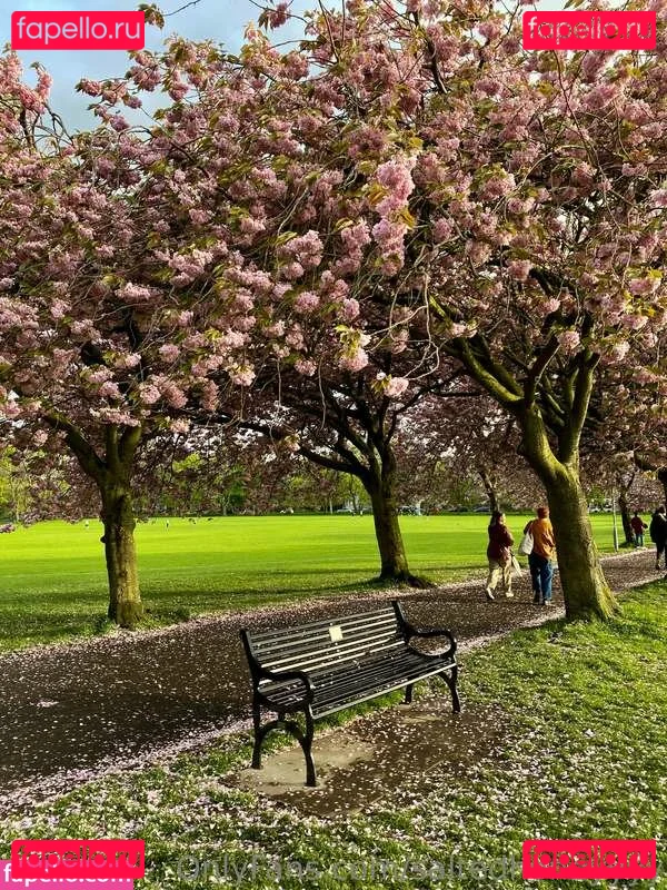 Saltedhoney Onlyfans Photo Gallery 