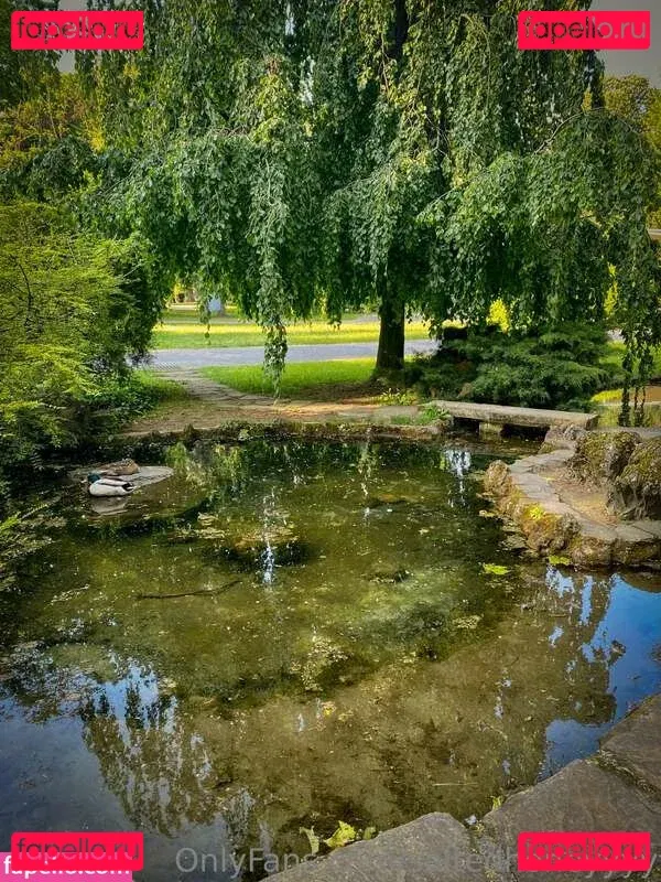 Saltedhoney Onlyfans Photo Gallery 