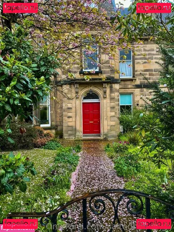 Saltedhoney Onlyfans Photo Gallery 