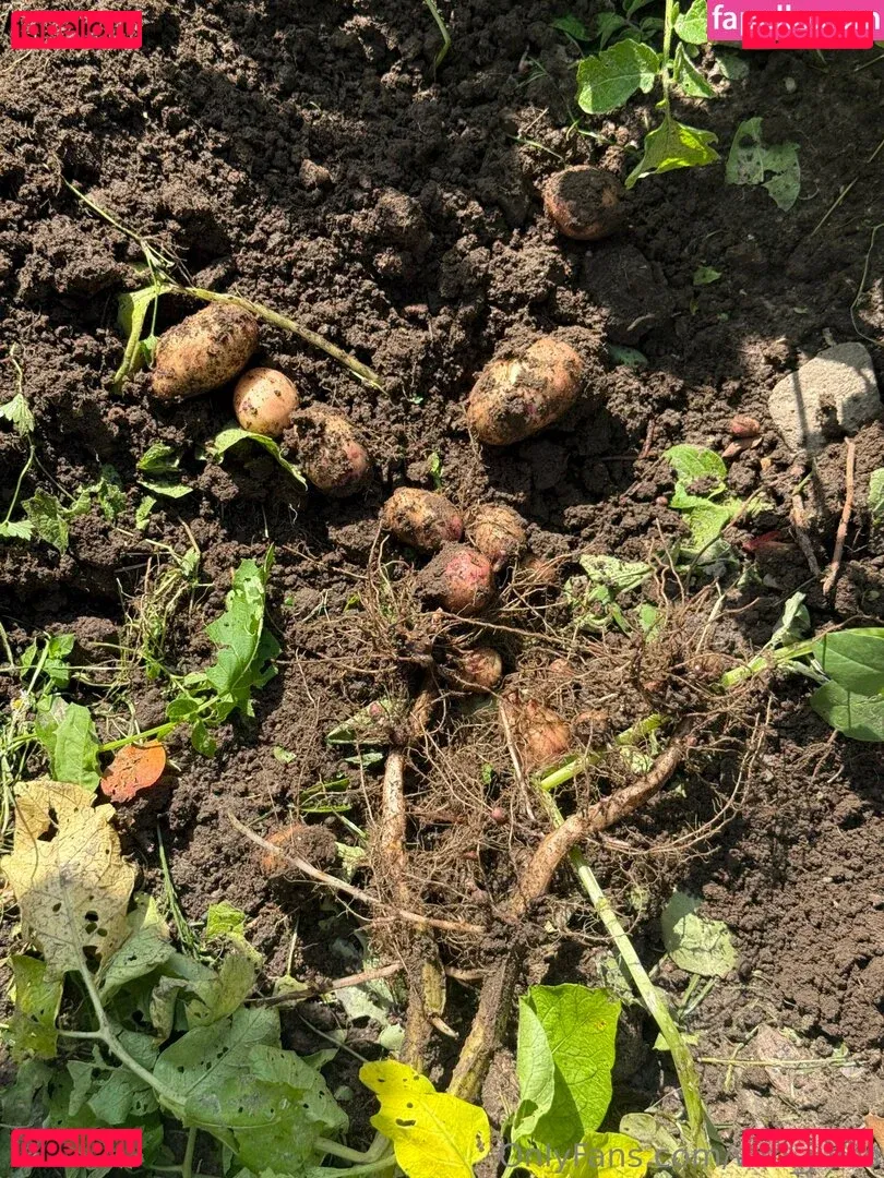 wm_jules Onlyfans Photo Gallery 