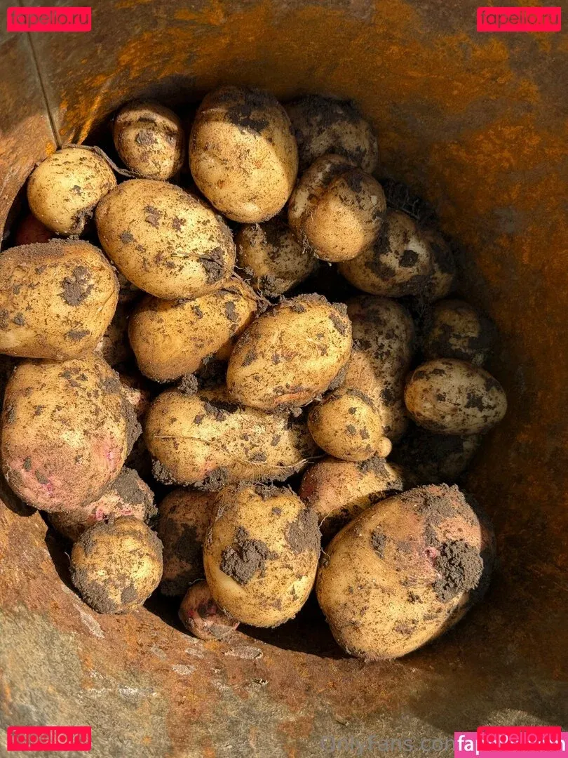 wm_jules Onlyfans Photo Gallery 