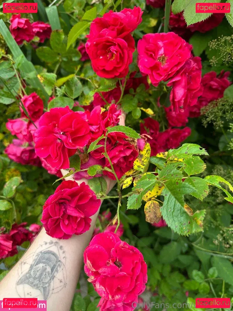 wm_jules Onlyfans Photo Gallery 