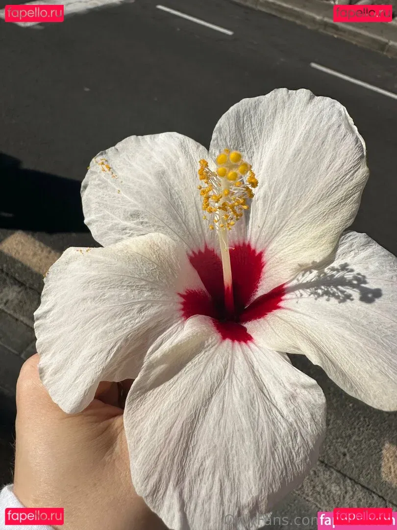 wm_jules Onlyfans Photo Gallery 