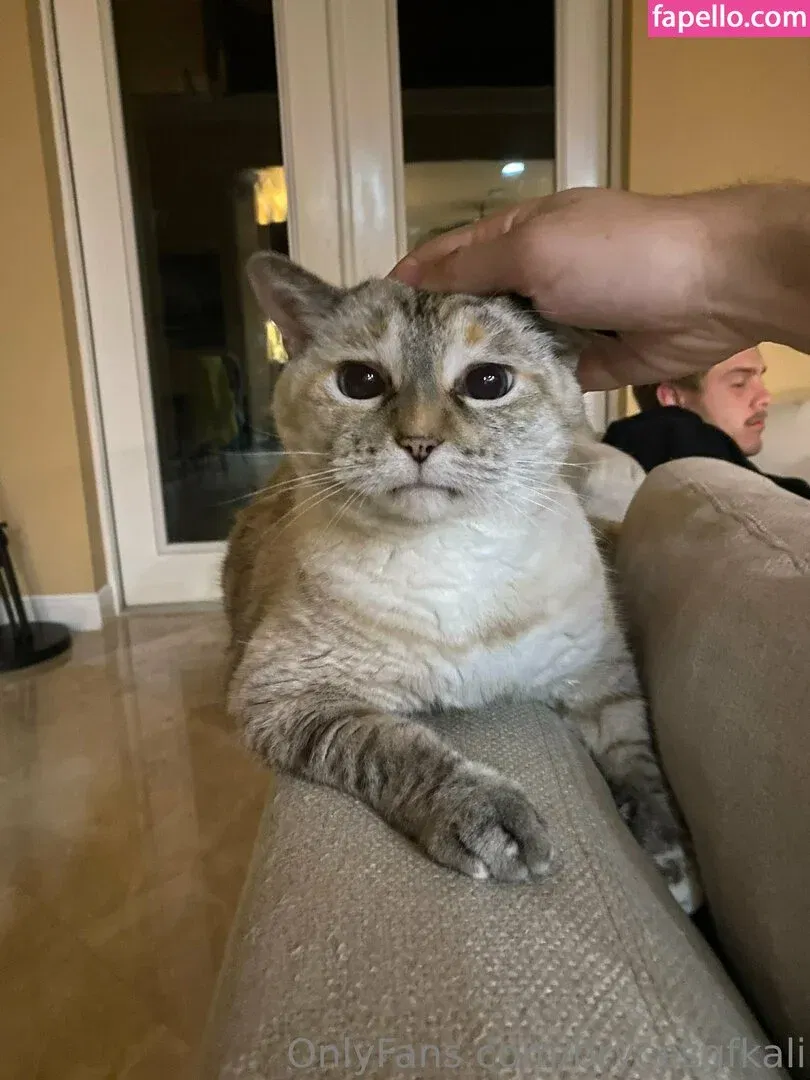 brycesgfkali Onlyfans Photo Gallery 