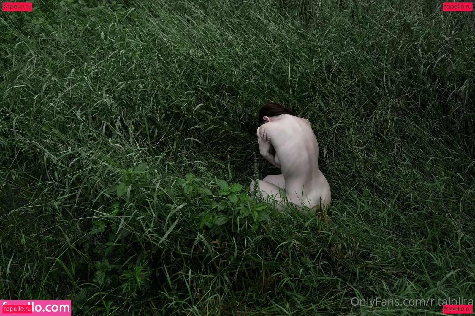 gwenhoney Onlyfans Photo Gallery 