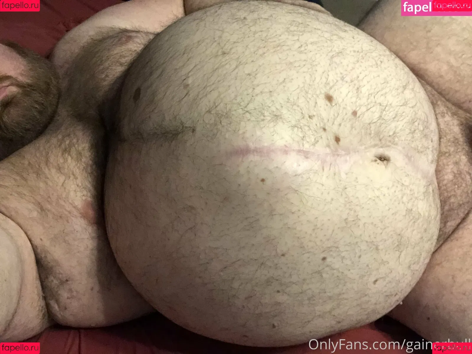gainerbull Onlyfans Photo Gallery 