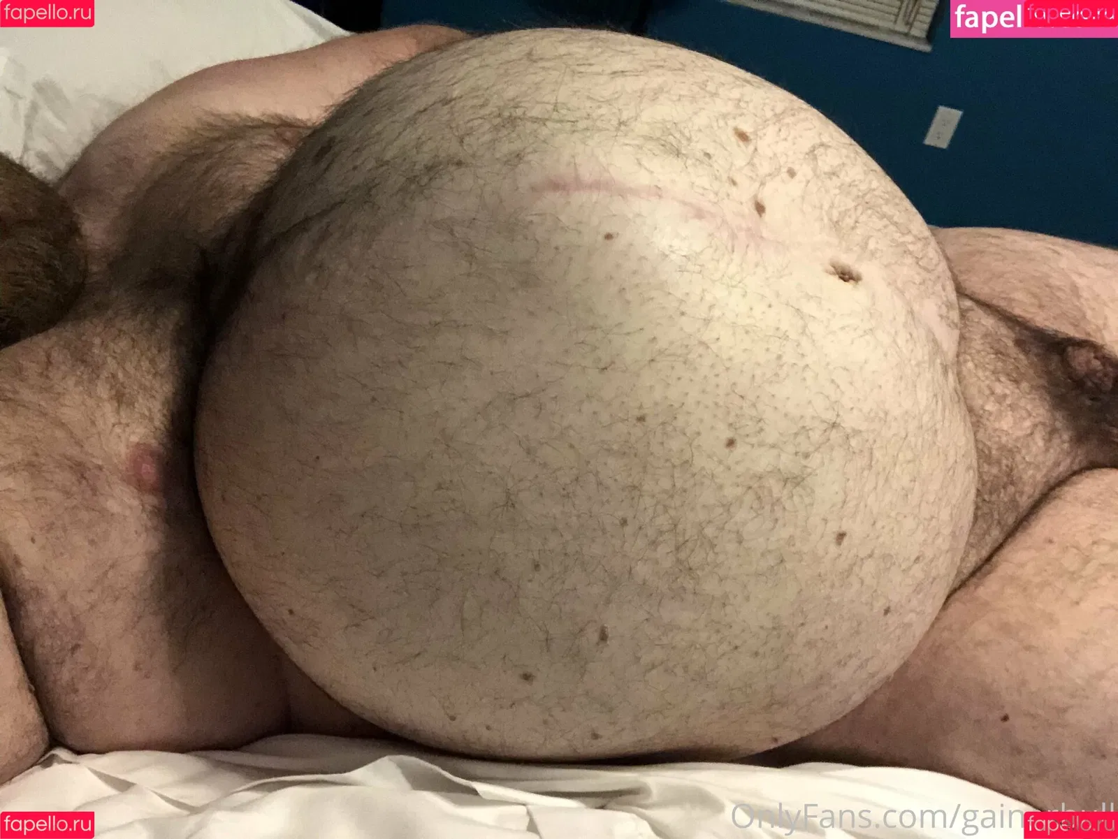 gainerbull Onlyfans Photo Gallery 