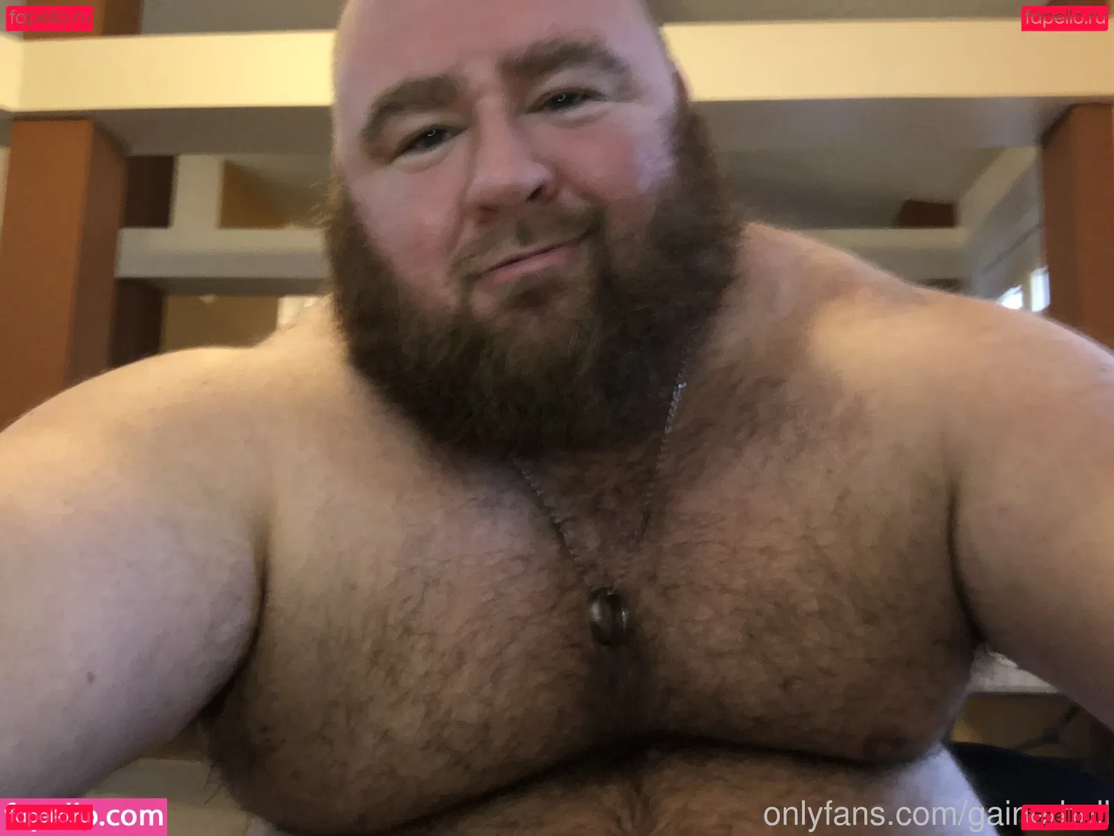 gainerbull Onlyfans Photo Gallery 