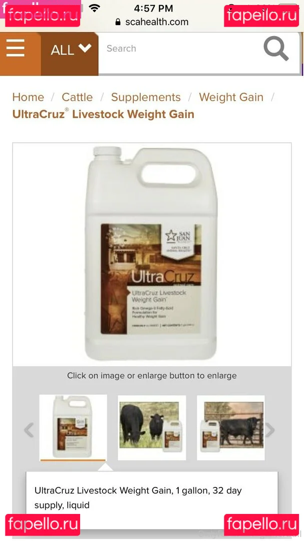 gainerbull Onlyfans Photo Gallery 