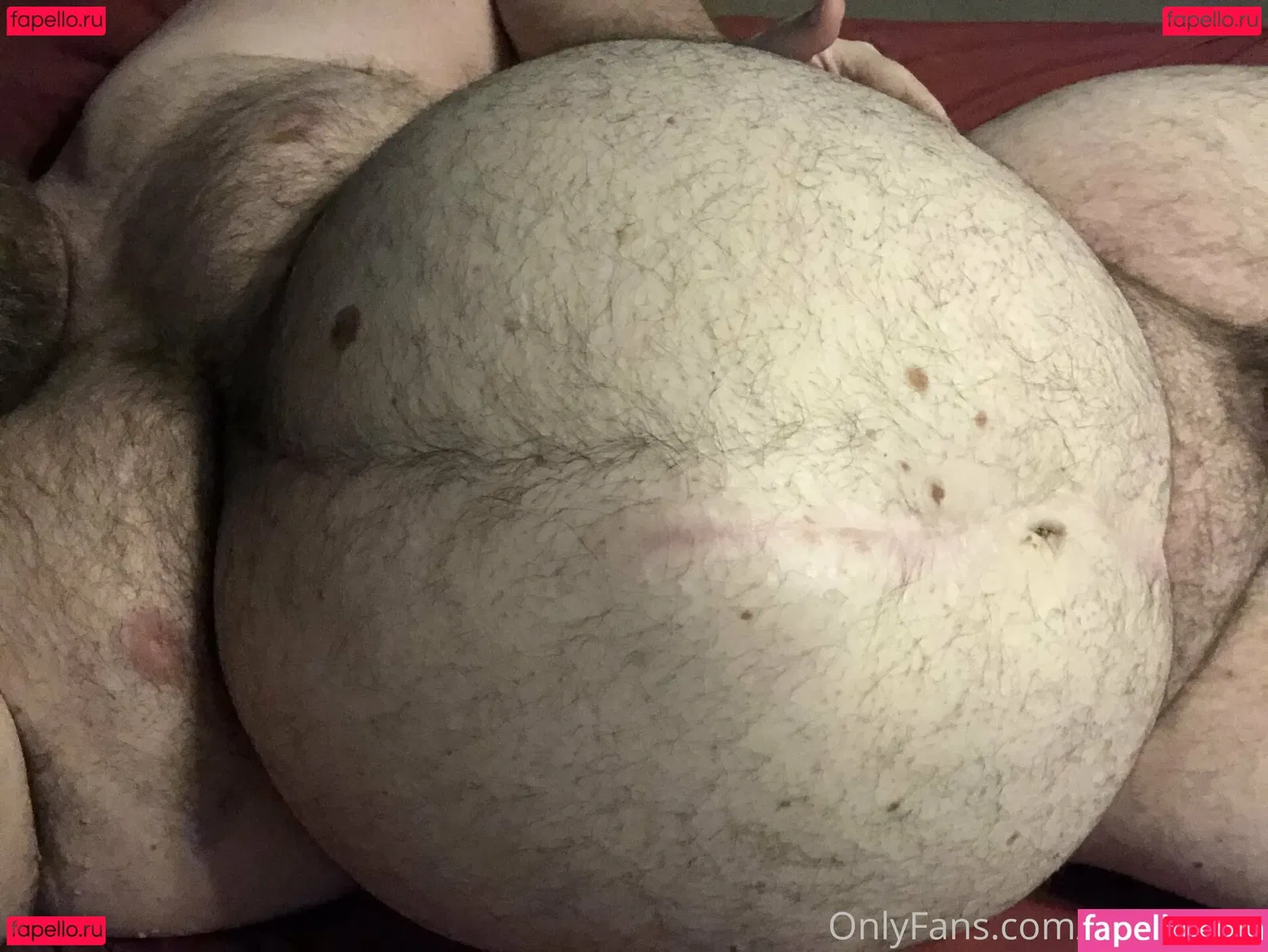 gainerbull Onlyfans Photo Gallery 