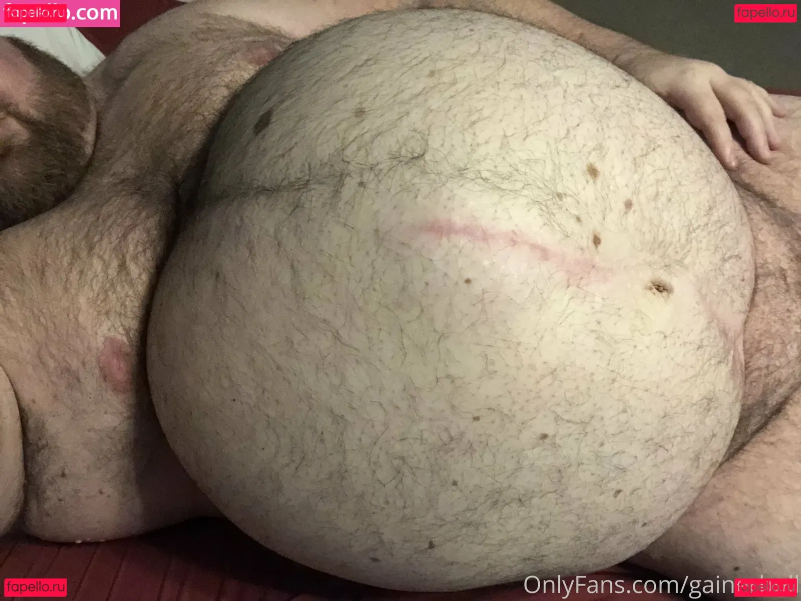 gainerbull Onlyfans Photo Gallery 