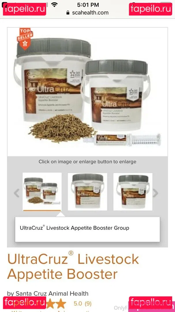 gainerbull Onlyfans Photo Gallery 