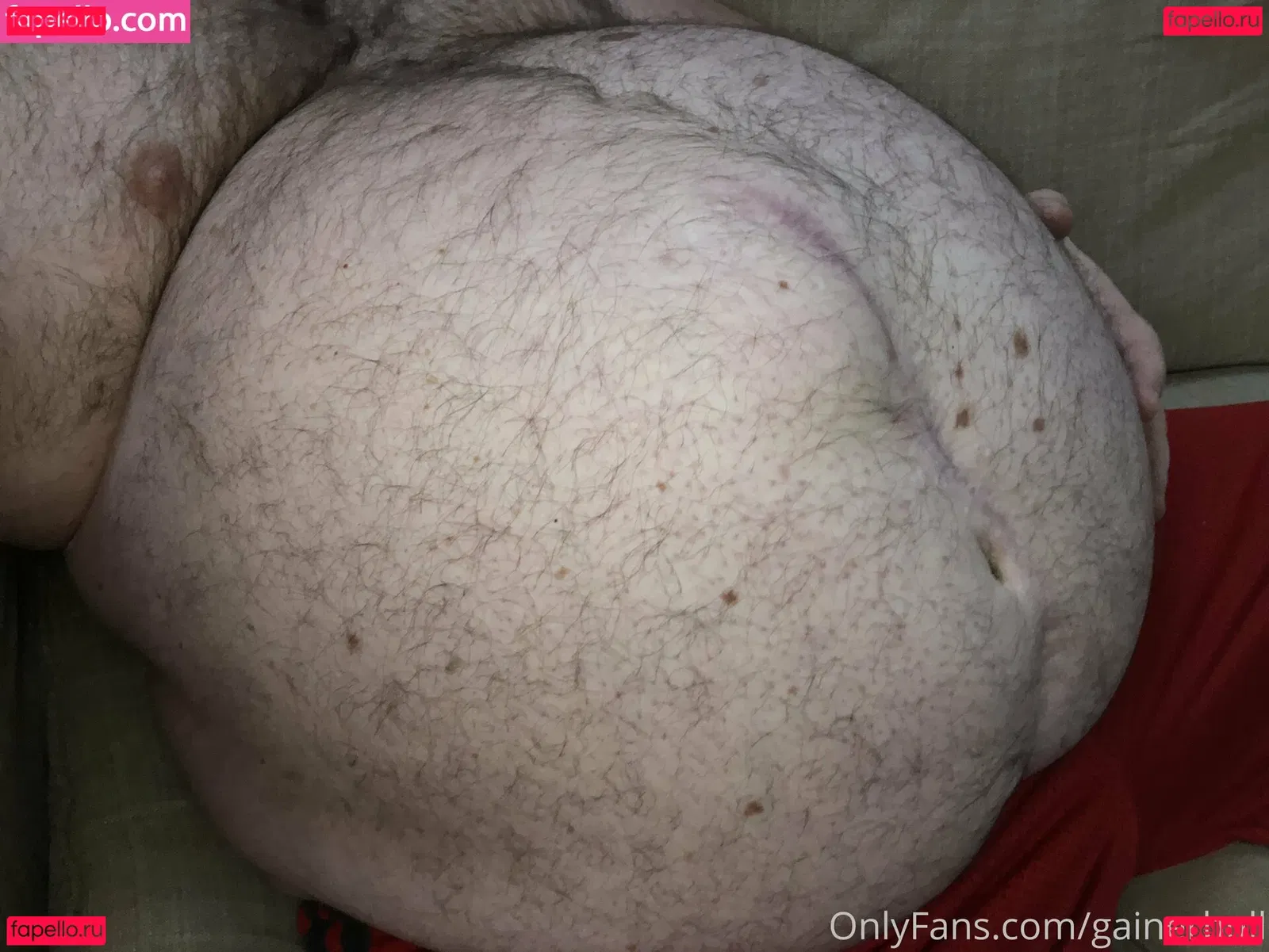 gainerbull Onlyfans Photo Gallery 