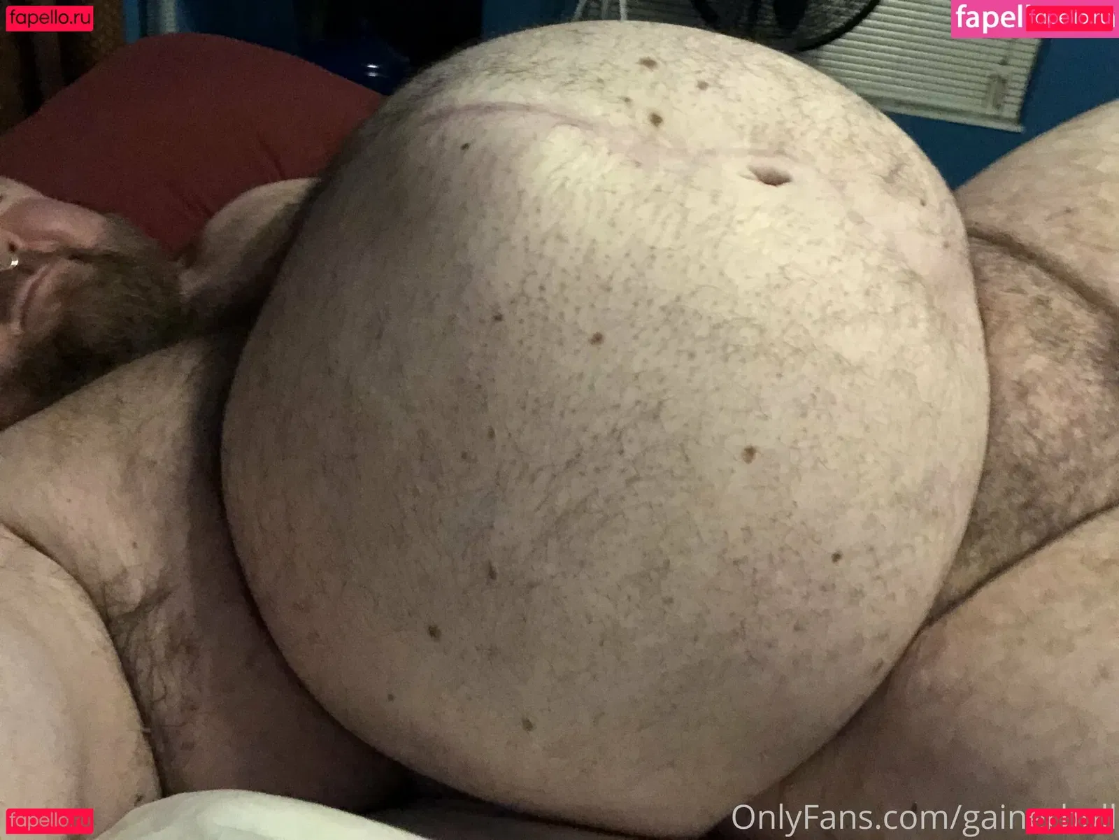 gainerbull Onlyfans Photo Gallery 