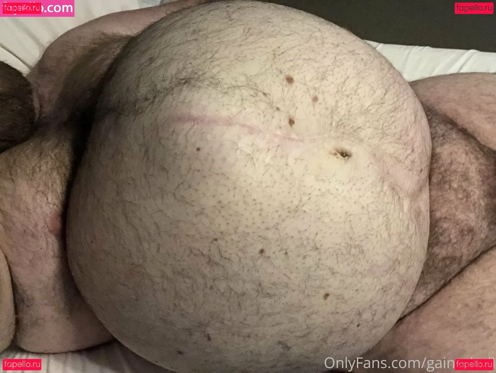 gainerbull Onlyfans Photo Gallery 