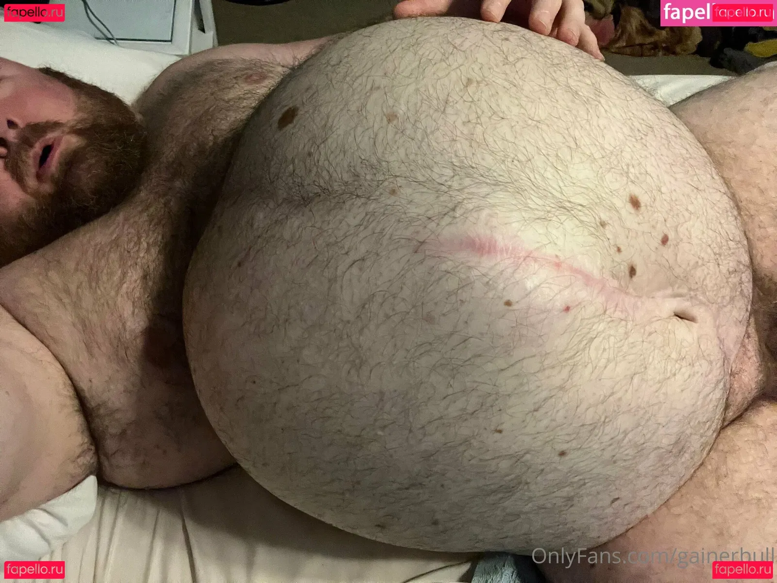 gainerbull Onlyfans Photo Gallery 