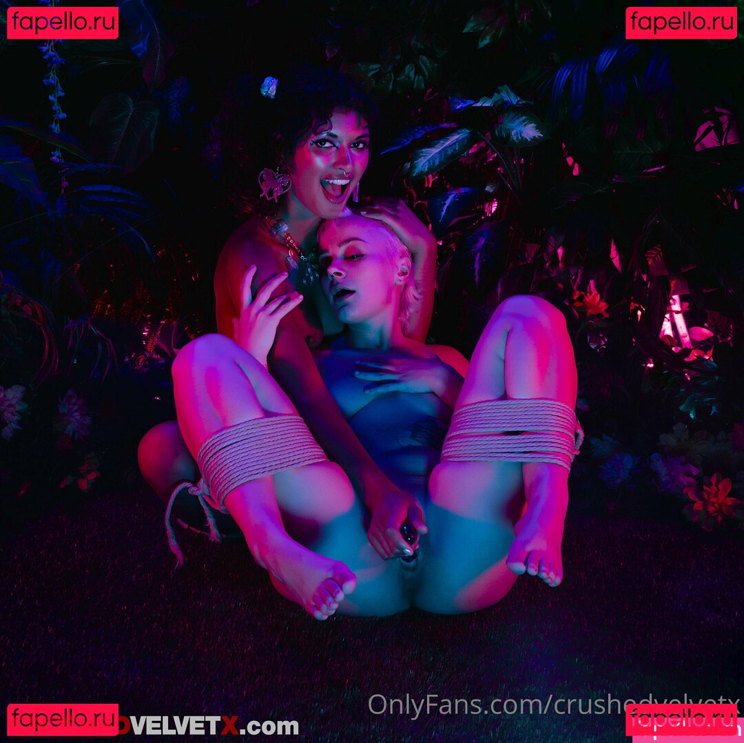 crushedvelvetx Nude Onlyfans Photo 36