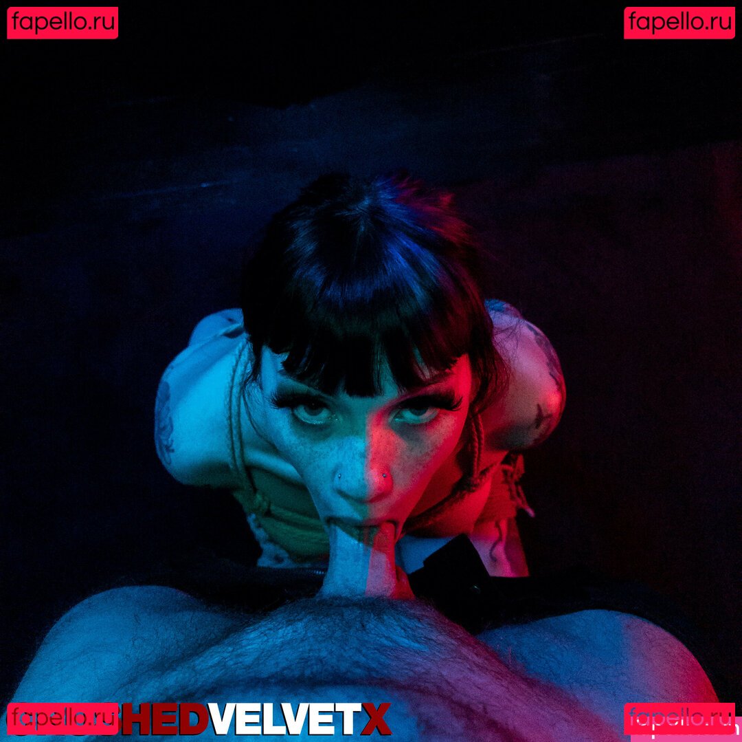 crushedvelvetx Nude Onlyfans Photo 34