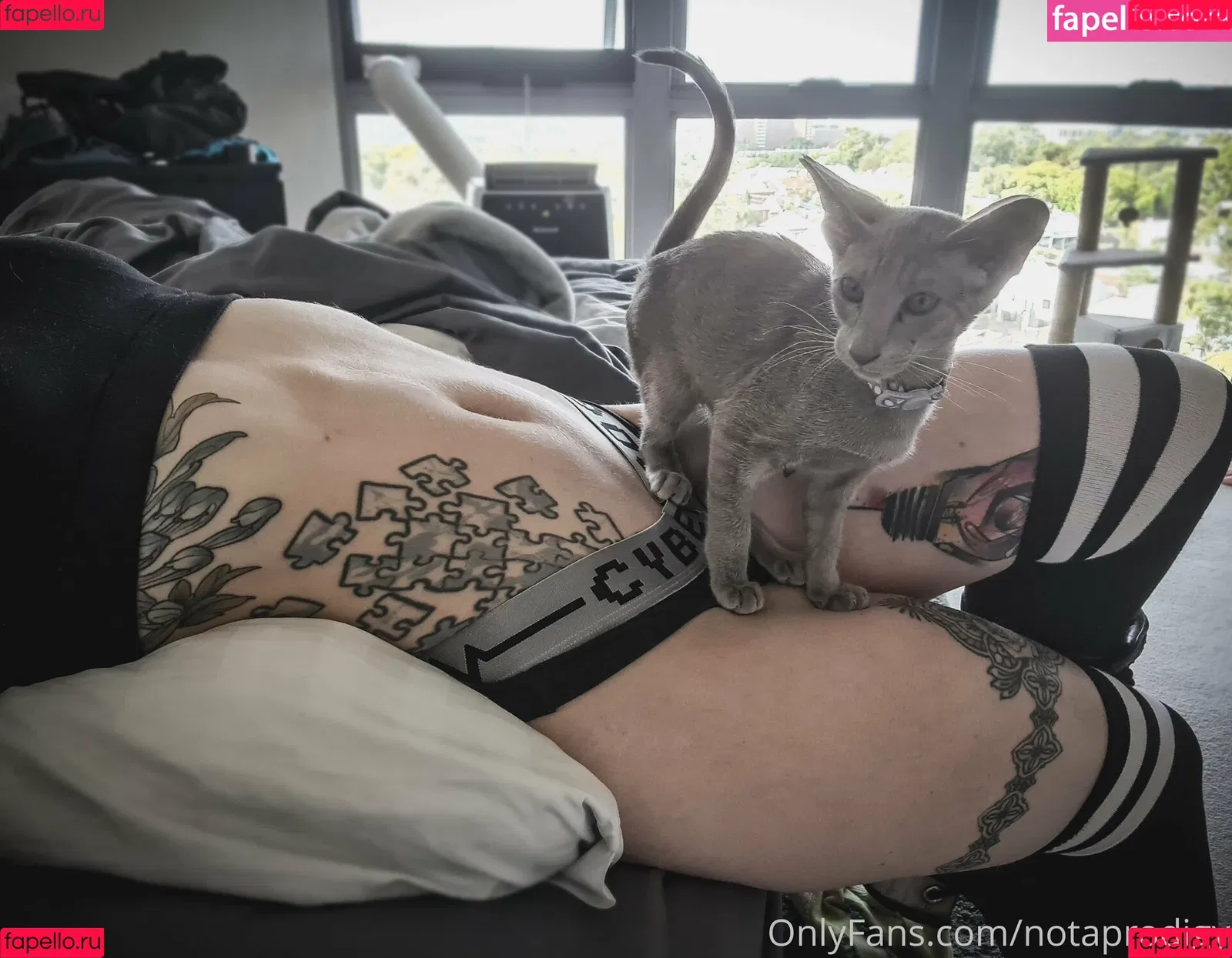 Notaprodigy Onlyfans Photo Gallery 