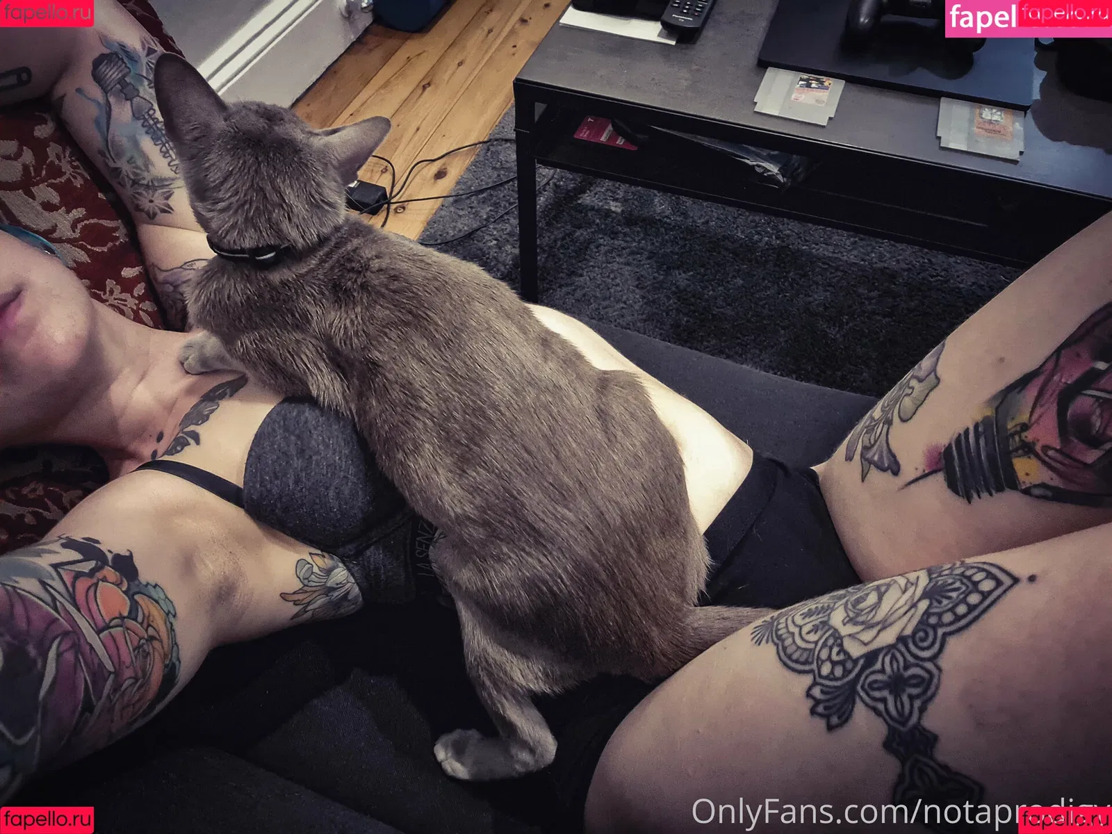 Notaprodigy Onlyfans Photo Gallery 