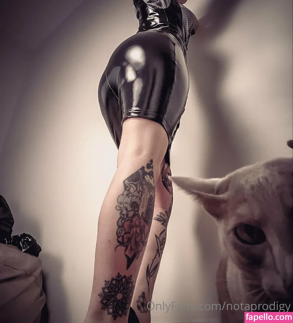 Notaprodigy Onlyfans Photo Gallery 