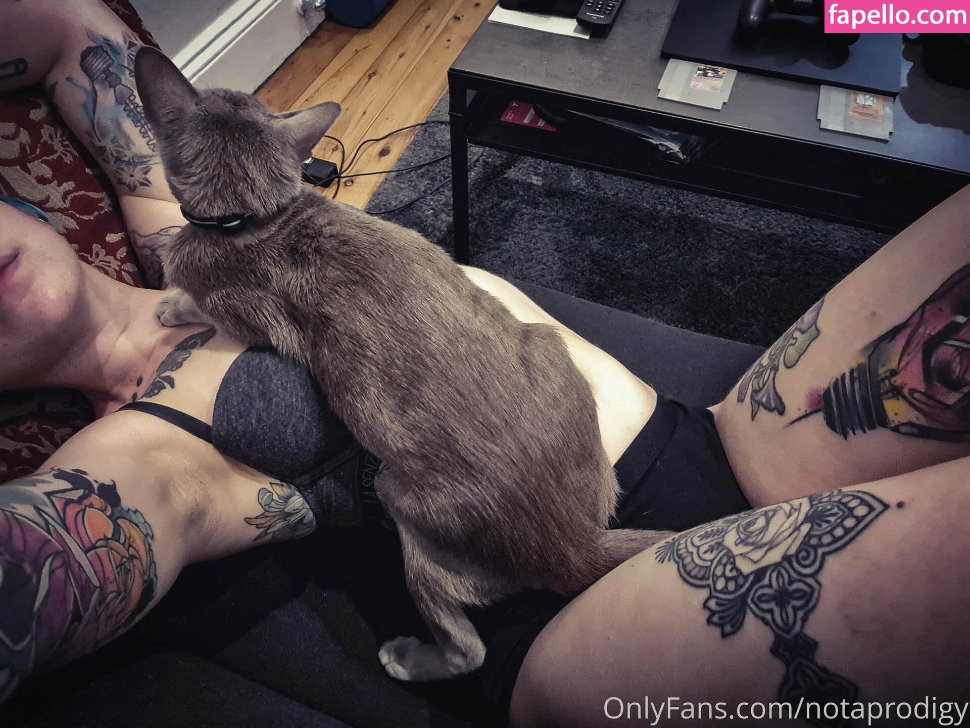 Notaprodigy Onlyfans Photo Gallery 