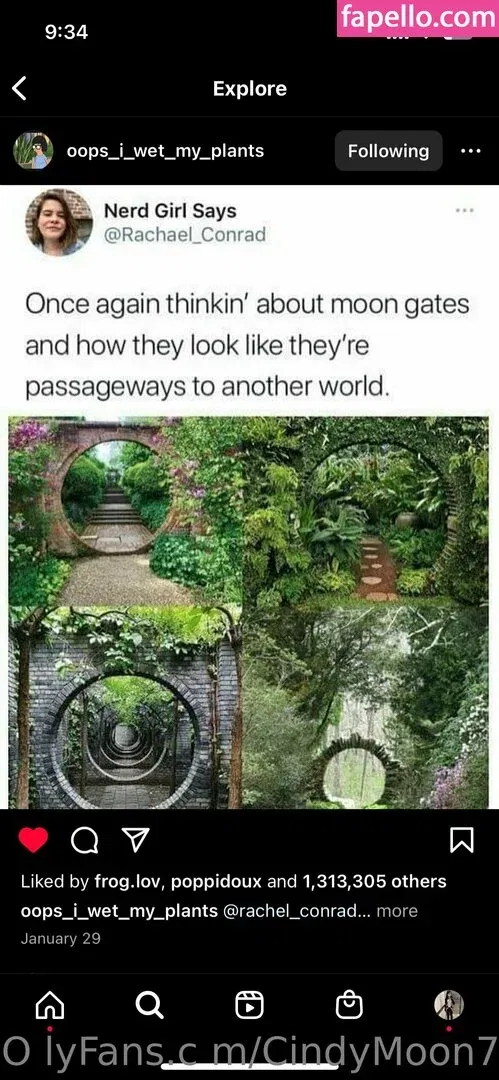 cindymoon7 Onlyfans Photo Gallery 