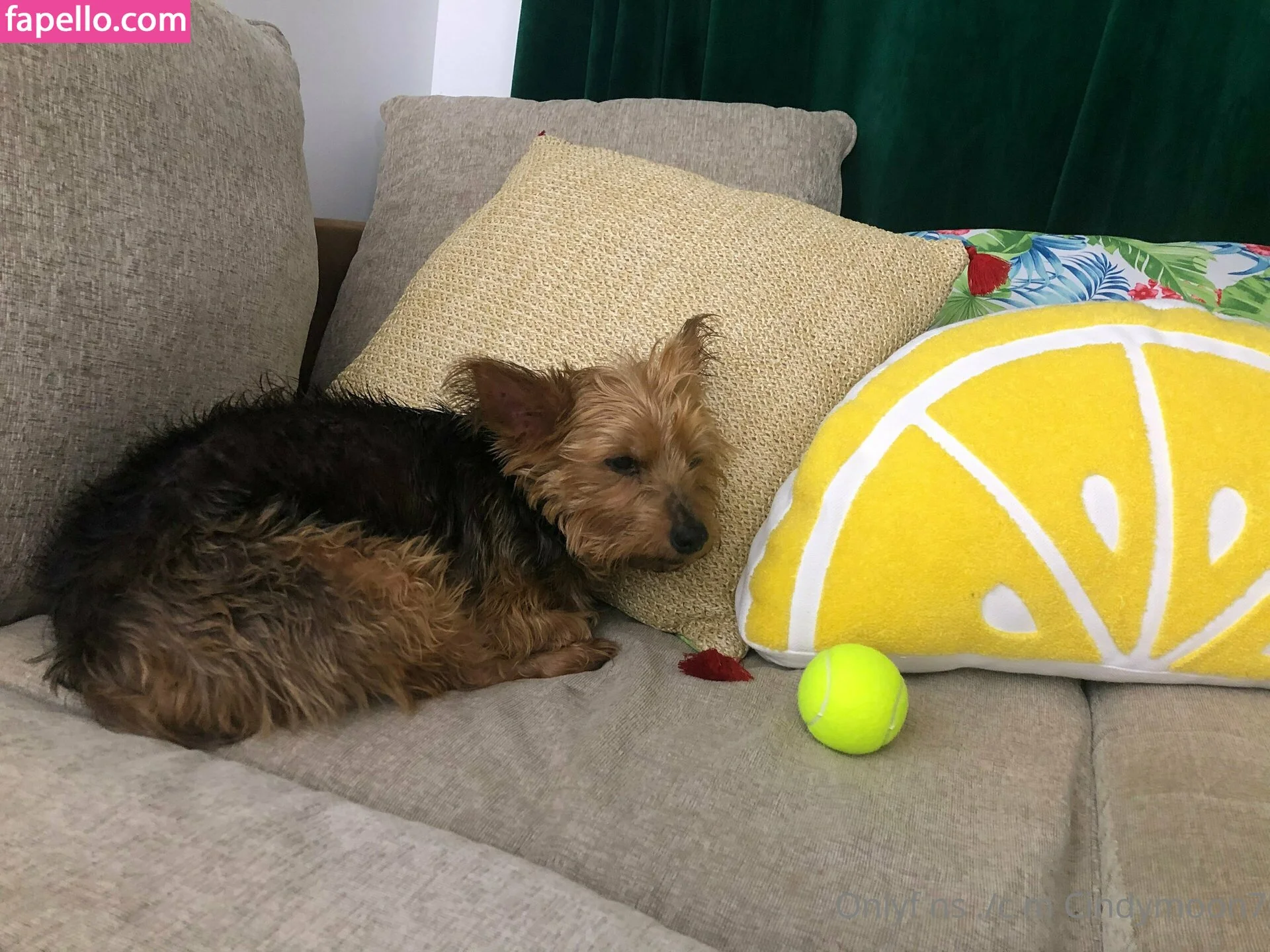 cindymoon7 Onlyfans Photo Gallery 