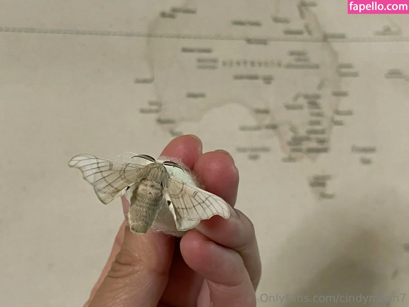 cindymoon7 Onlyfans Photo Gallery 