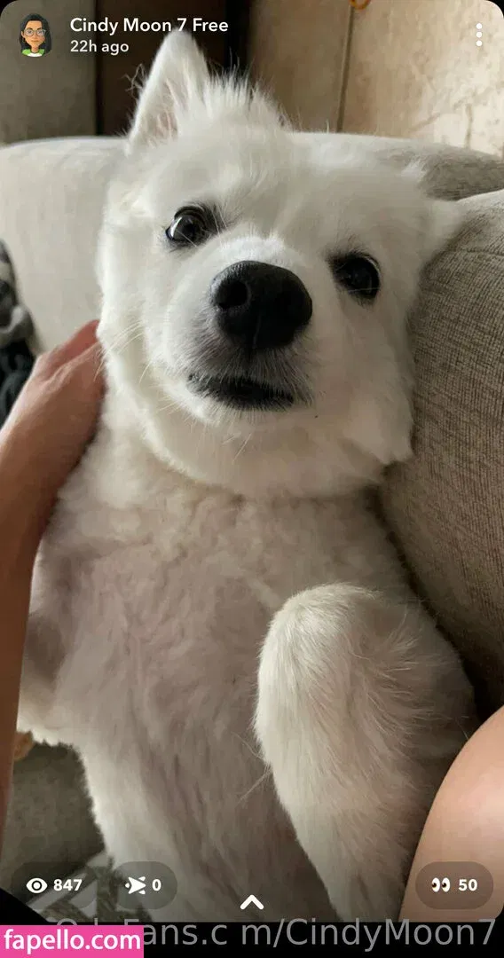 cindymoon7 Onlyfans Photo Gallery 