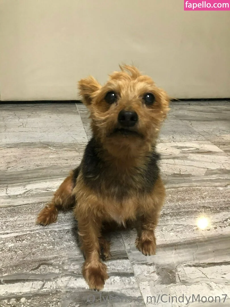 cindymoon7 Onlyfans Photo Gallery 