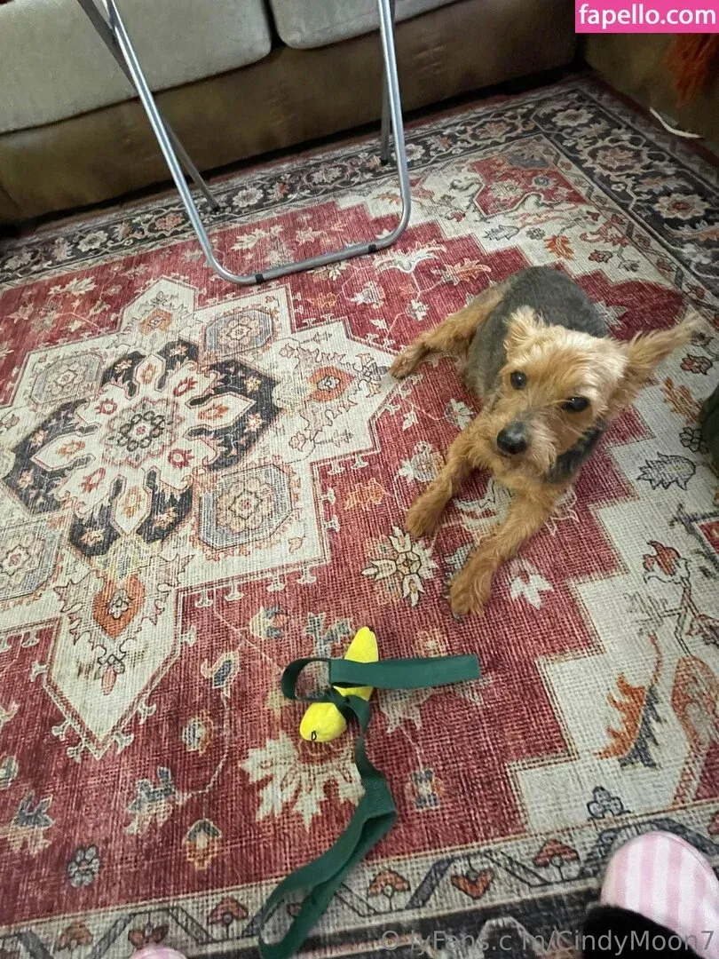 cindymoon7 Onlyfans Photo Gallery 