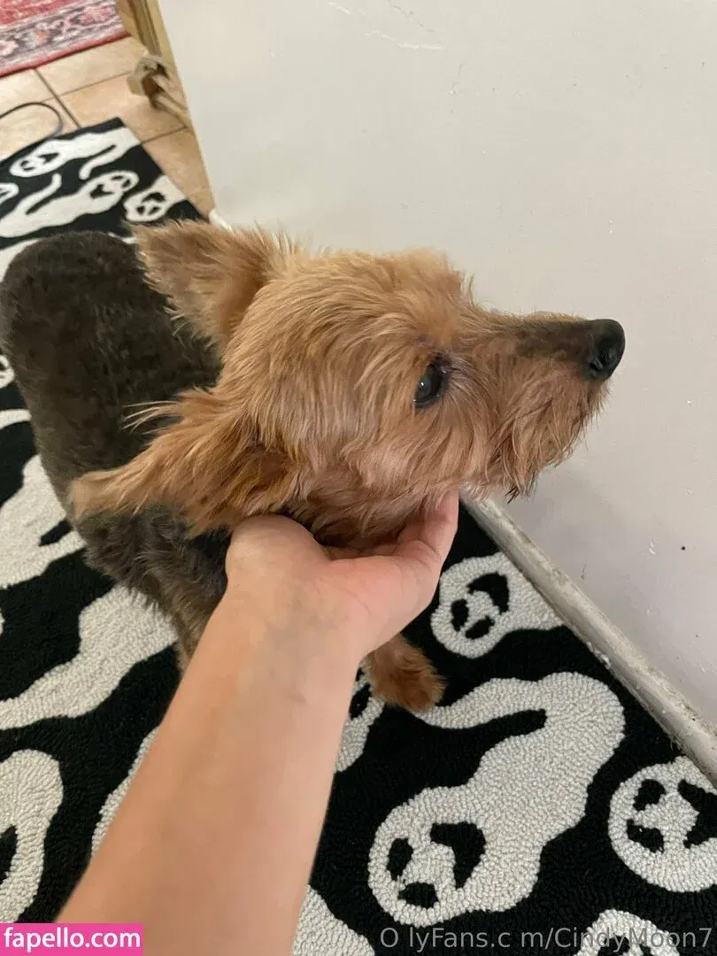 cindymoon7 Onlyfans Photo Gallery 