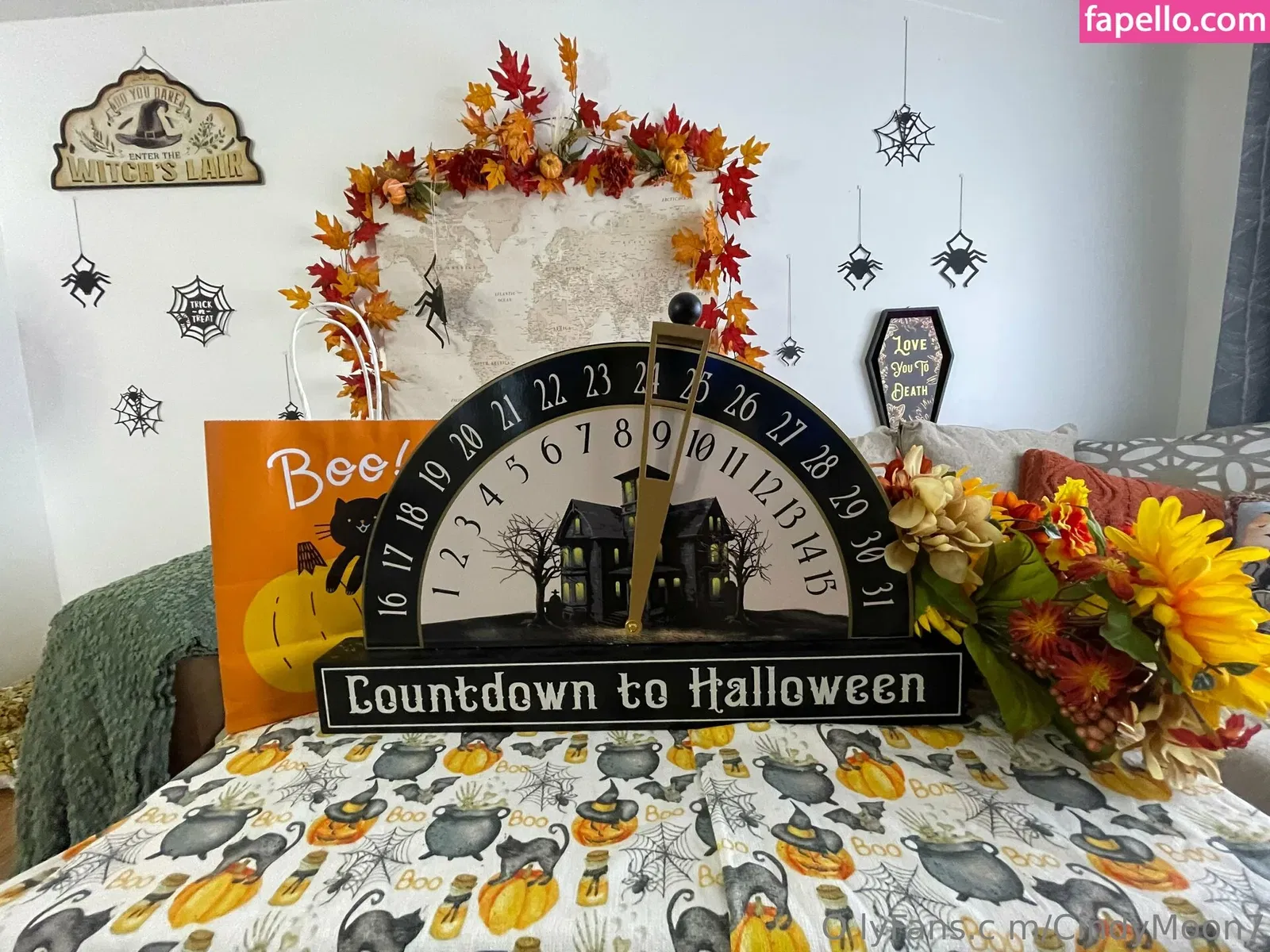 cindymoon7 Onlyfans Photo Gallery 