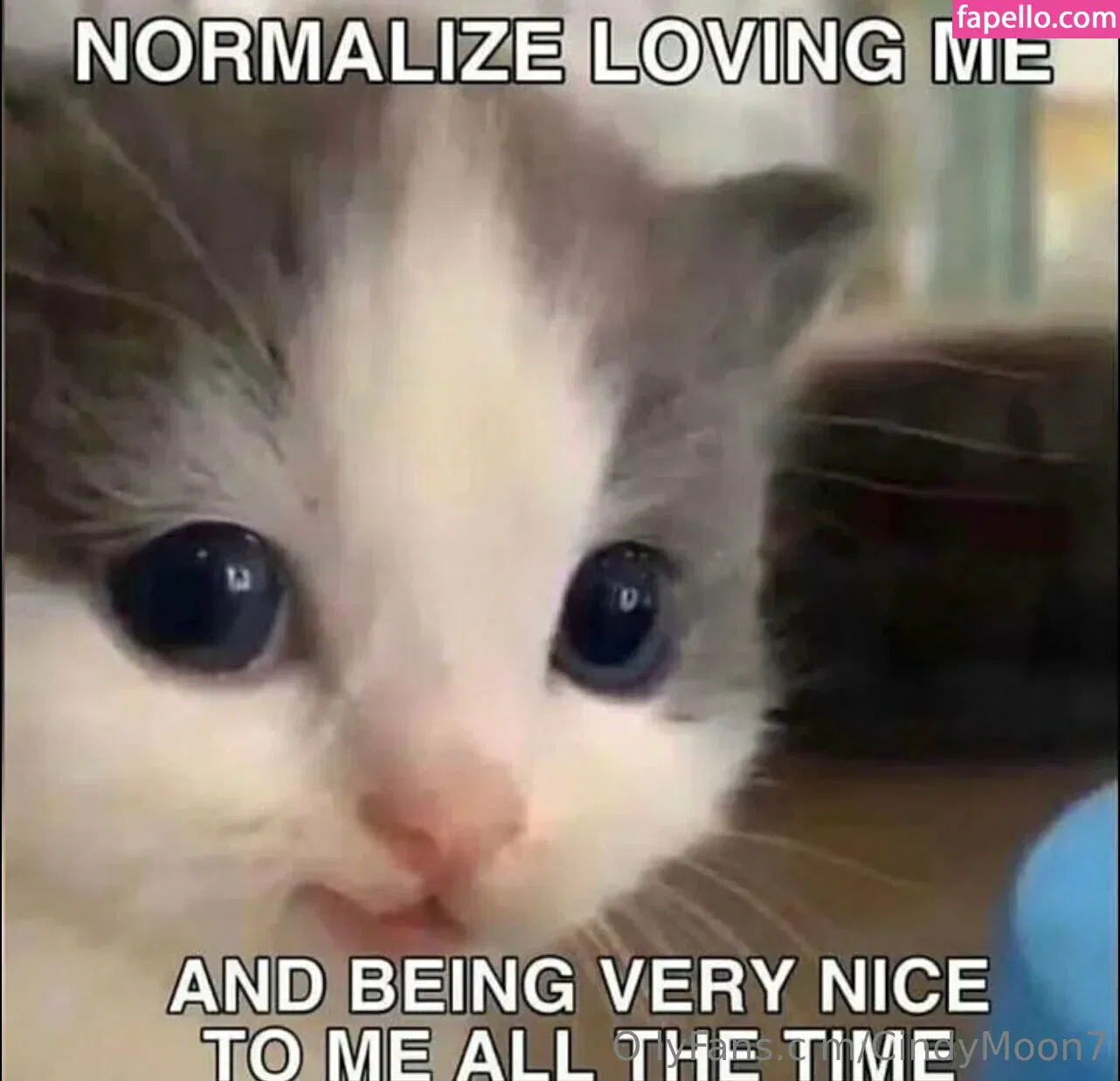 cindymoon7 Onlyfans Photo Gallery 