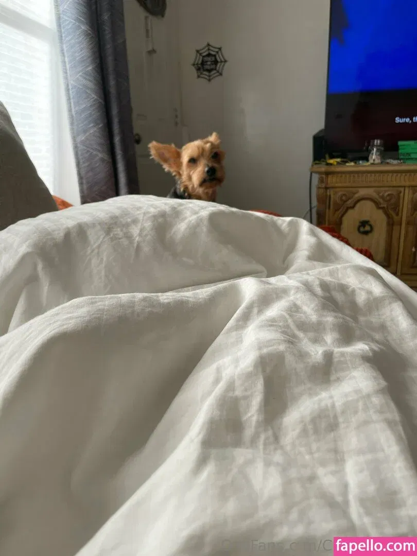 cindymoon7 Onlyfans Photo Gallery 