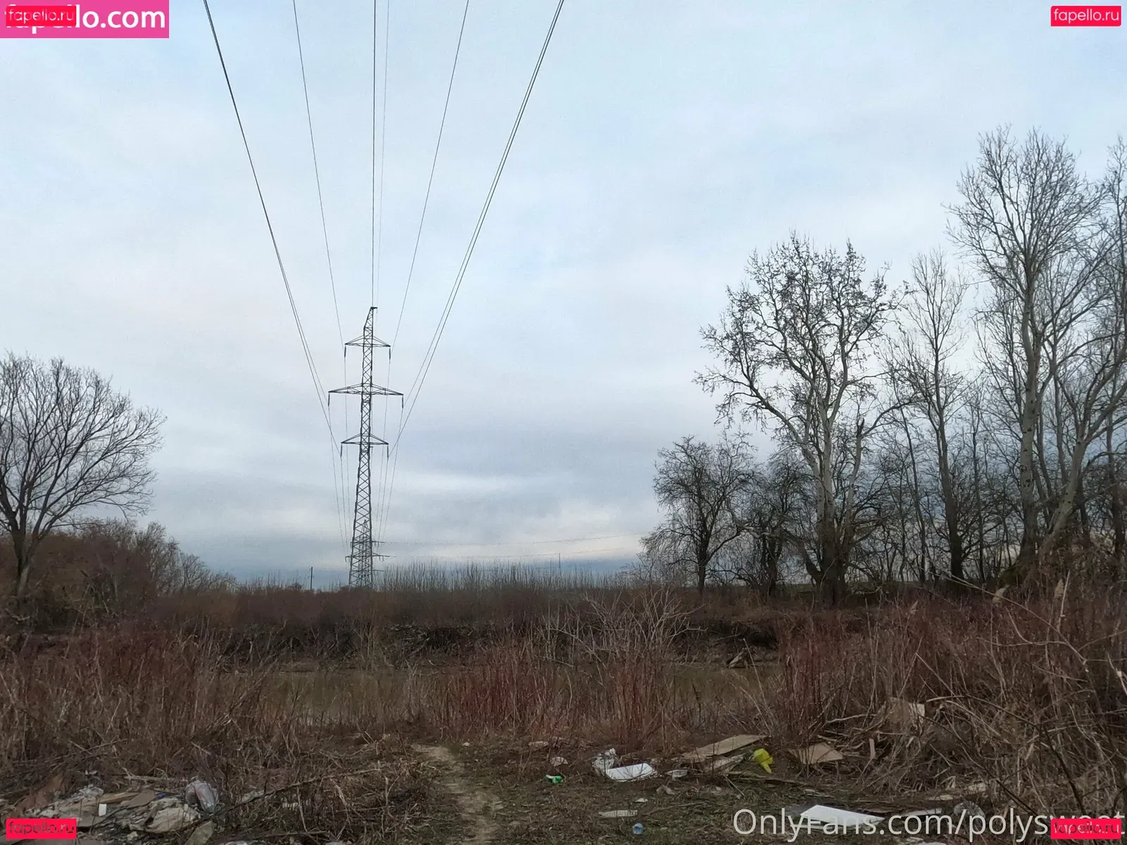 polysweet Onlyfans Photo Gallery 