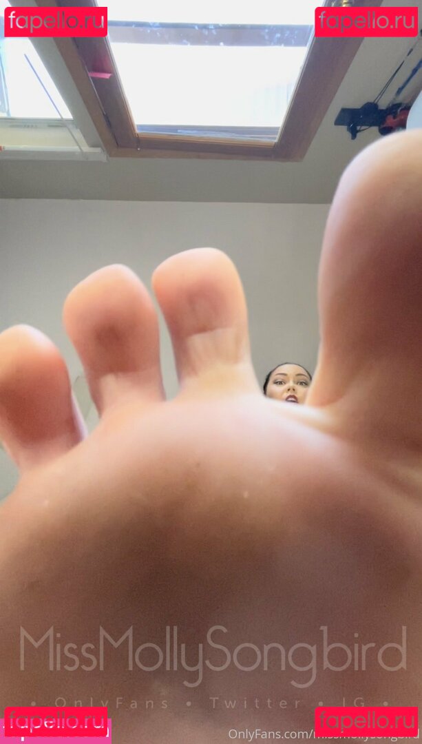 missmollysongbird Nude Onlyfans Photo 47