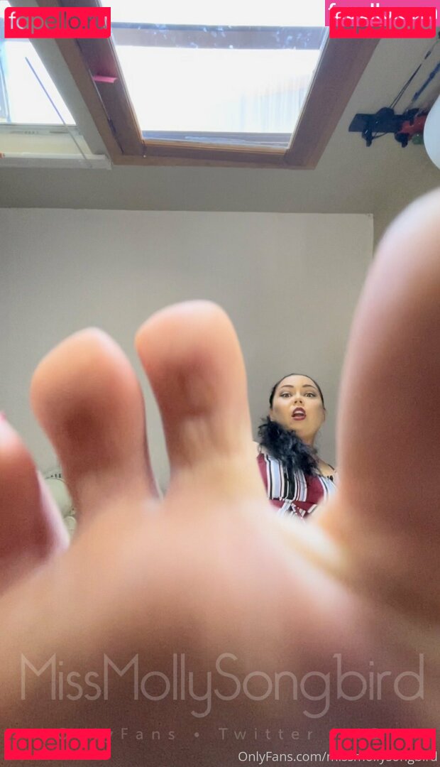 missmollysongbird Nude Onlyfans Photo 46