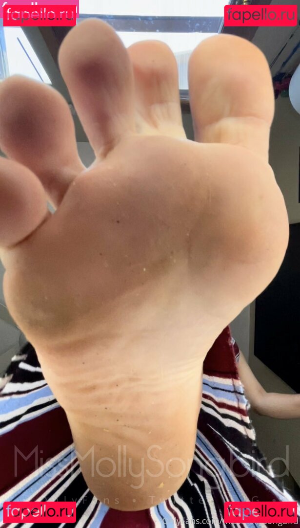 missmollysongbird Nude Onlyfans Photo 38