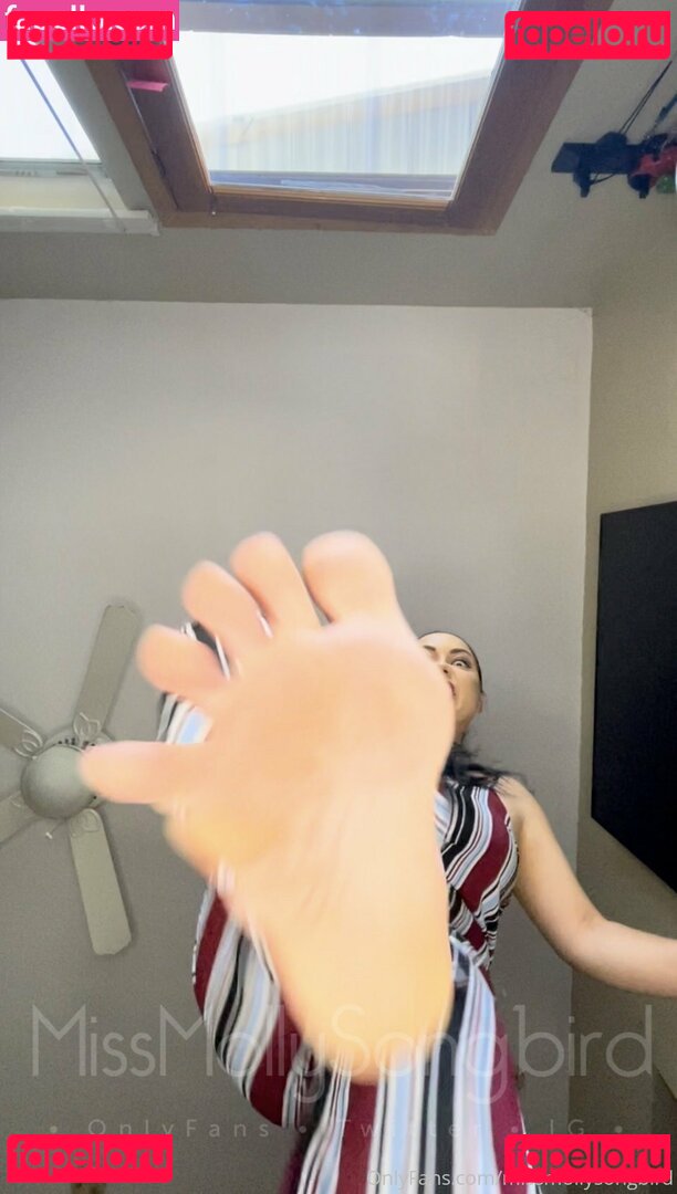 missmollysongbird Nude Onlyfans Photo 35